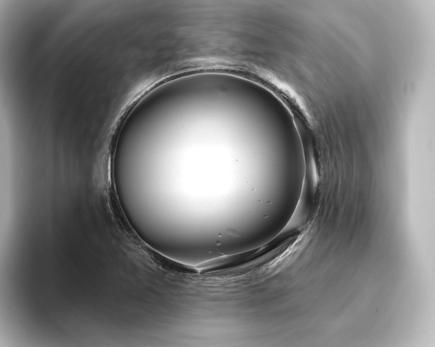 X0000096491365200801241456