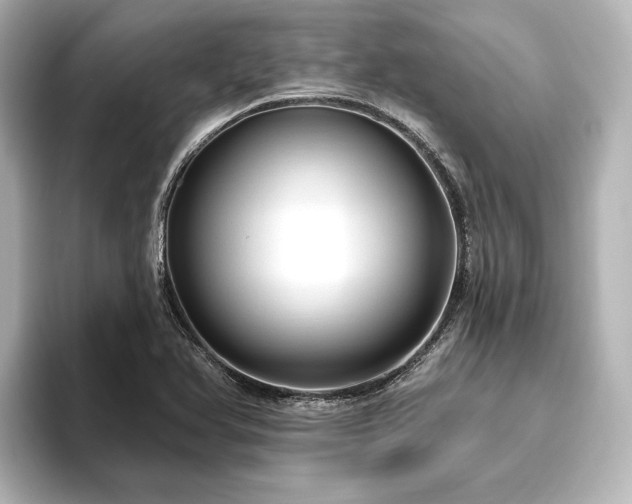 X0000096491366200801241456