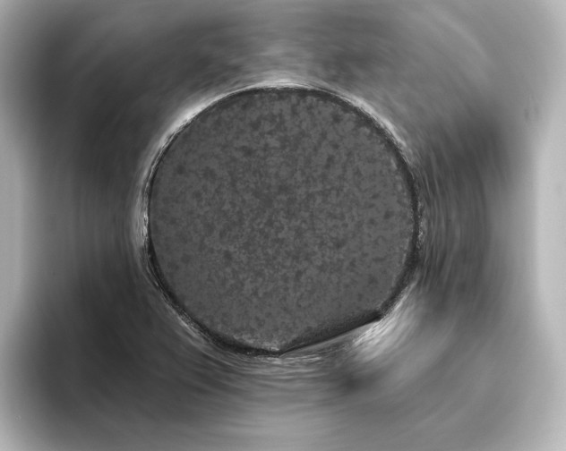 X0000096491367200801241456