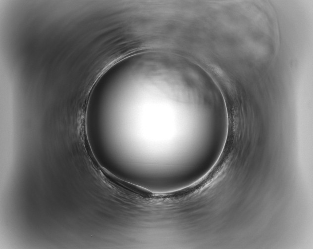 X0000096491369200801241456