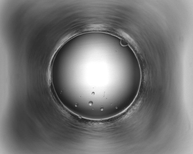 X0000096491370200801241456