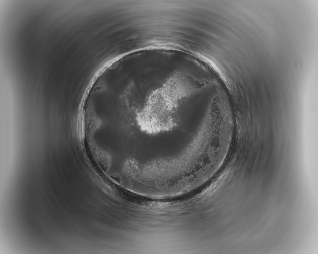 X0000096491371200801241456