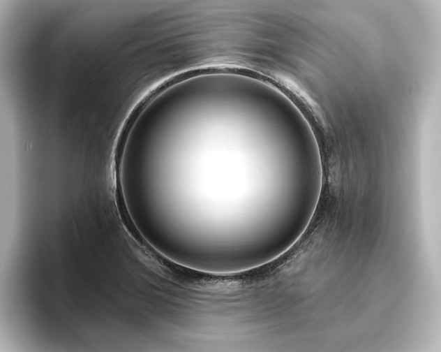 X0000096491372200801241456