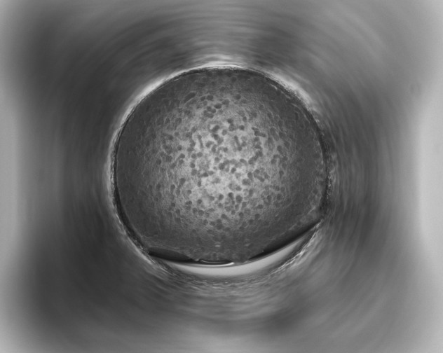 X0000096491375200801241456
