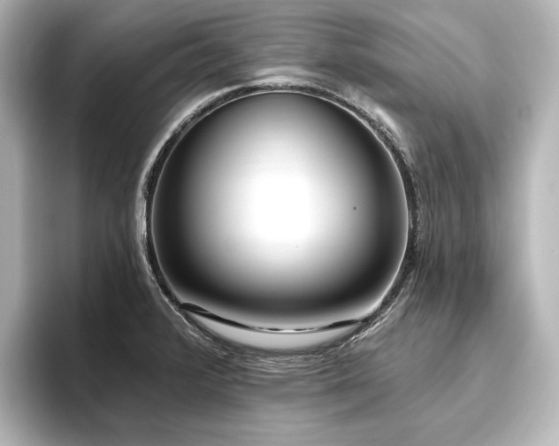 X0000096491376200801241456