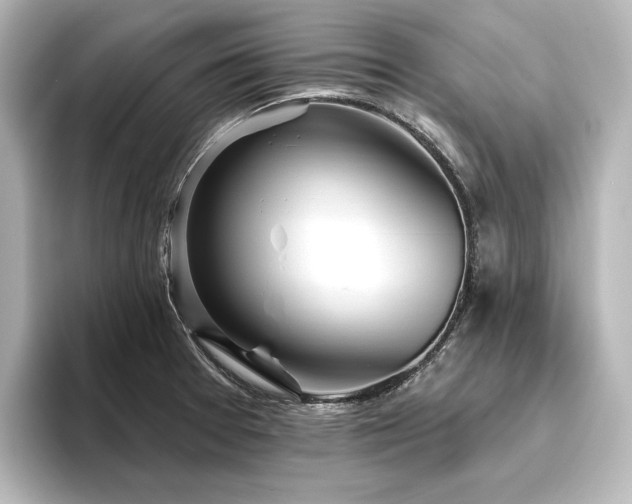 X0000096491377200801241456