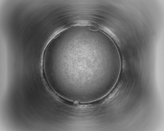 X0000096491378200801241456
