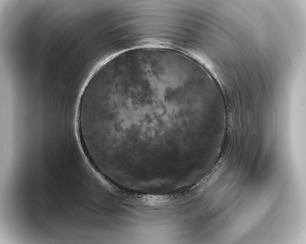 X0000096491379200801241456