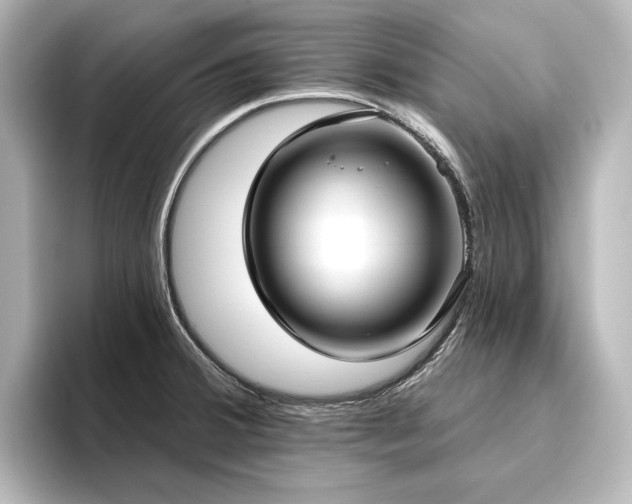 X0000096491380200801241456