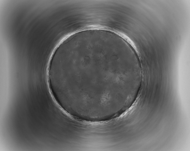 X0000096491381200801241456