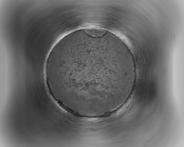 X0000096491382200801241456