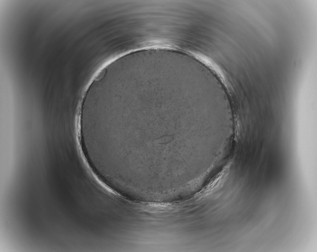 X0000096491383200801241456