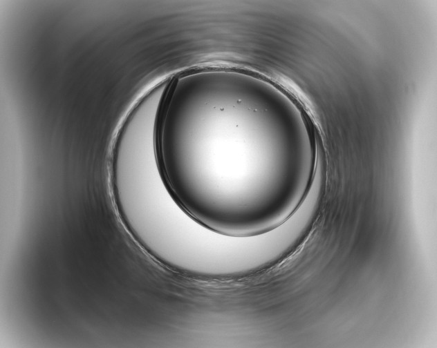 X0000096491384200801241456
