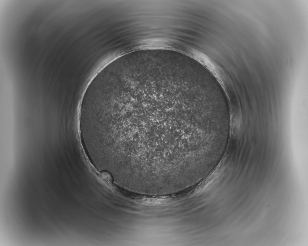 X0000096491386200801241456