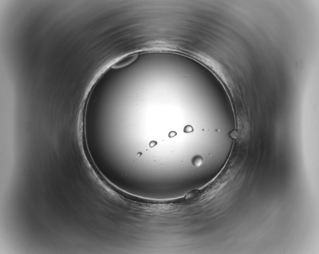 X0000096491387200801241456