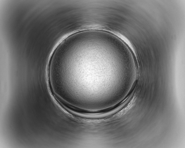 X0000096491389200801241456
