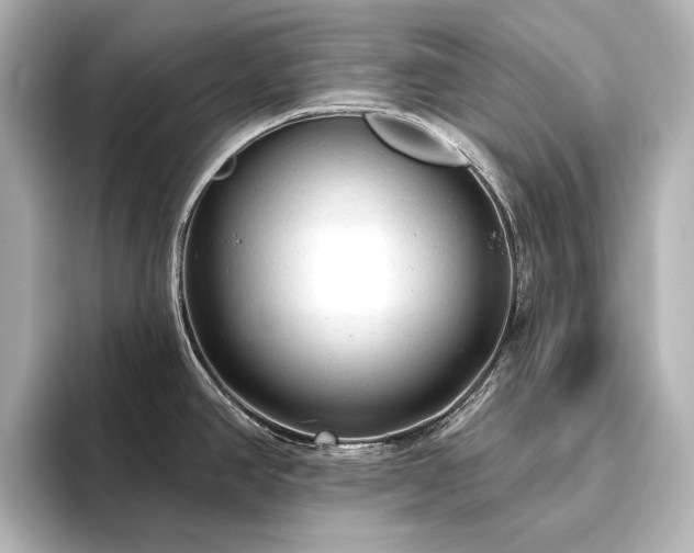 X0000096491390200801241455