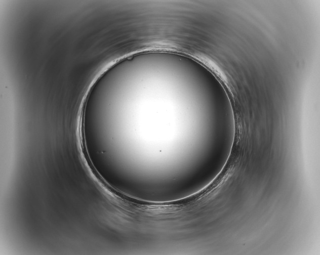 X0000096491391200801241455