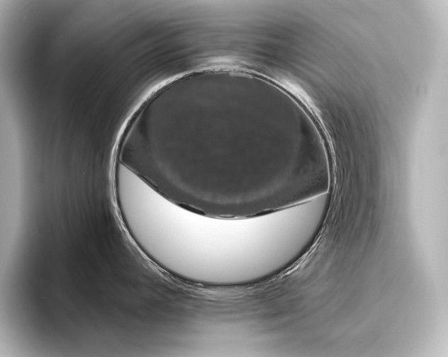 X0000096491392200801241455