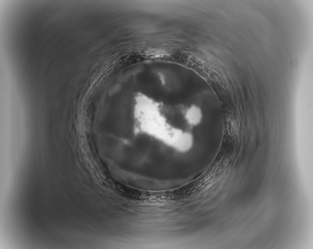 X0000096491393200801241455