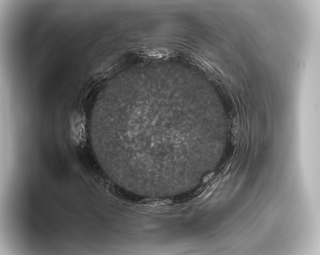 X0000096491394200801241455