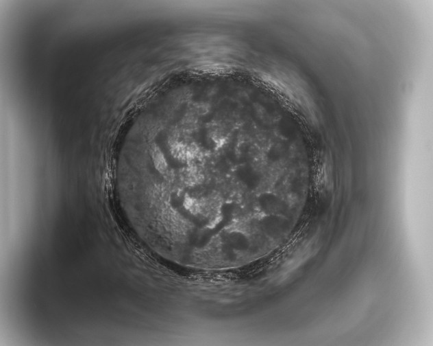 X0000096491397200801241455