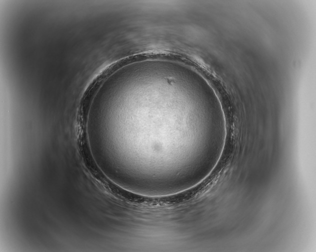X0000096491400200801241455