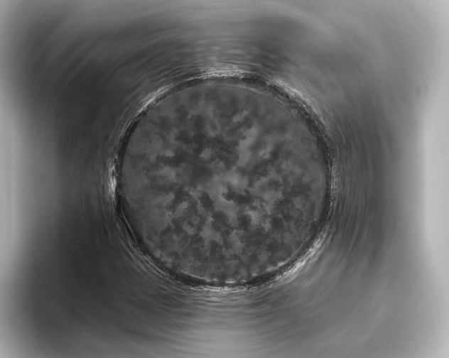 X0000096491401200801241455