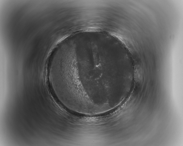 X0000096491402200801241455