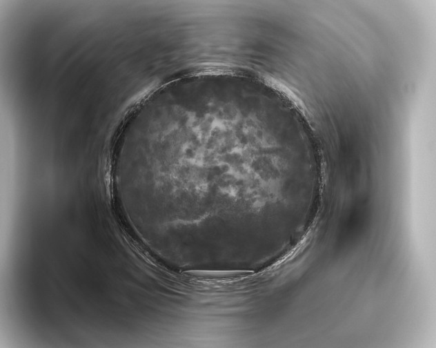 X0000096491403200801241455