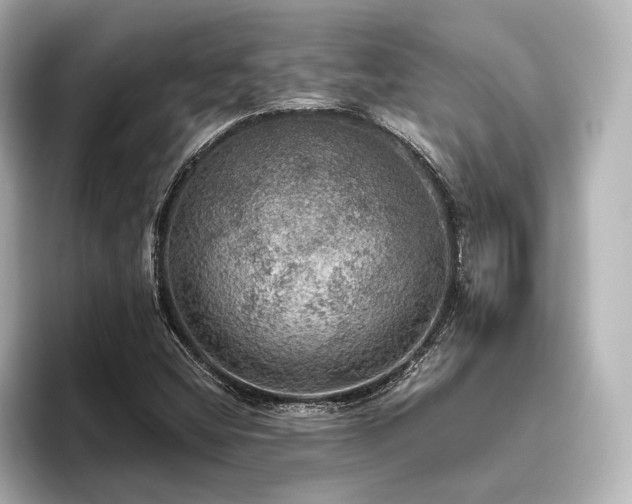 X0000096491404200801241455