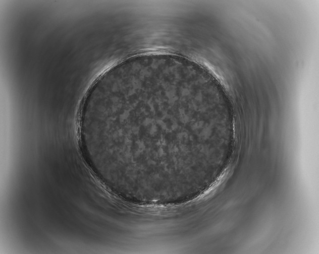 X0000096491405200801241455