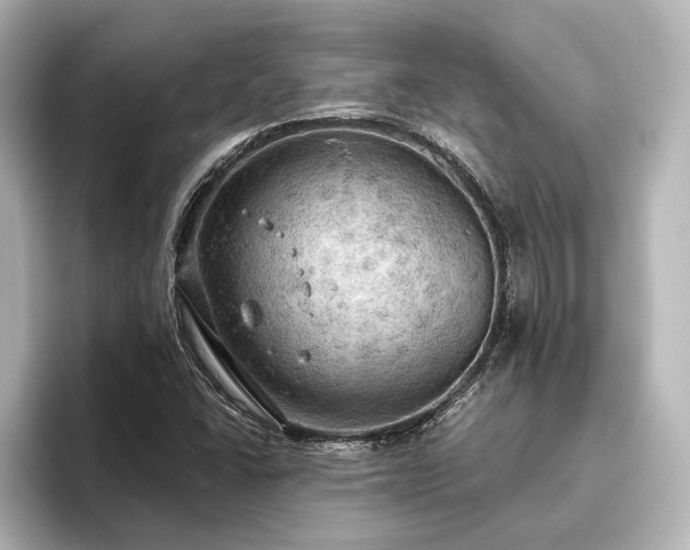 X0000096491406200801241455