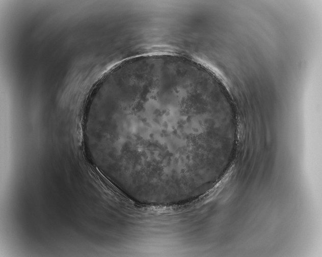 X0000096491407200801241455