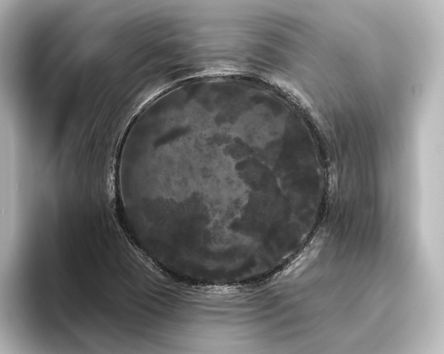 X0000096491409200801241455