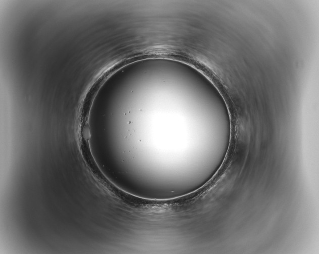 X0000096491410200801241455