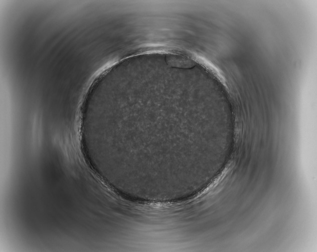 X0000096491411200801241455