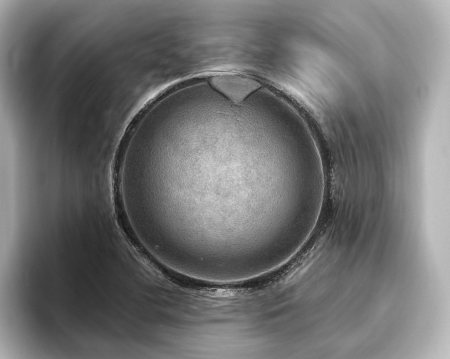 X0000096491412200801241455