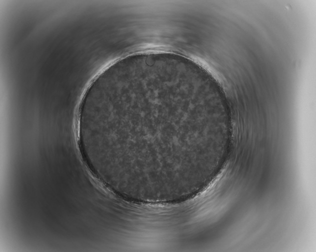 X0000096491413200801241455