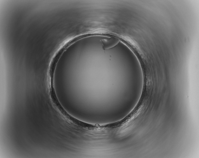 X0000096491414200801241455