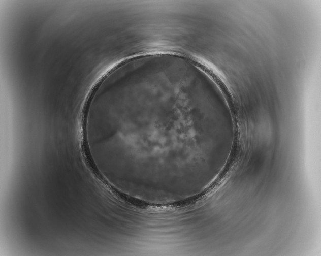 X0000096491415200801241455