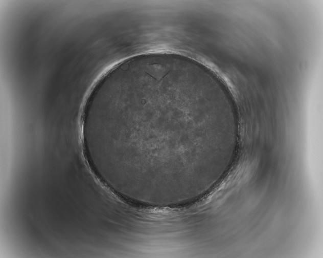 X0000096491416200801241455