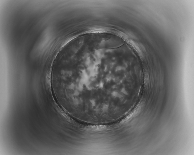 X0000096491417200801241455