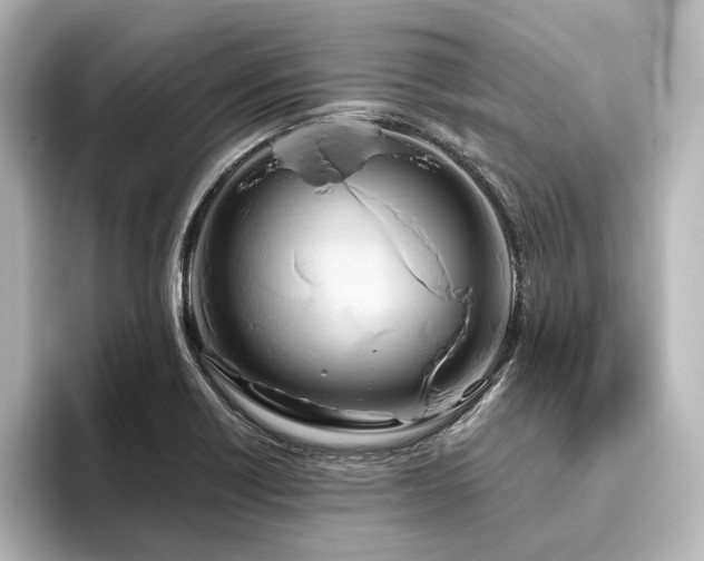 X0000096491418200801241455