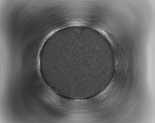 X0000096491419200801241455