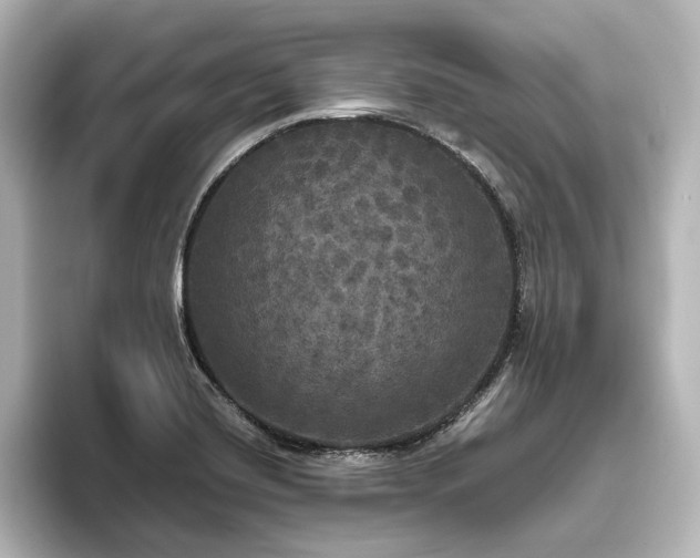 X0000096491420200801241455