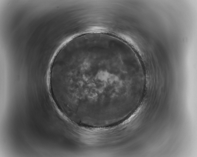 X0000096491421200801241455
