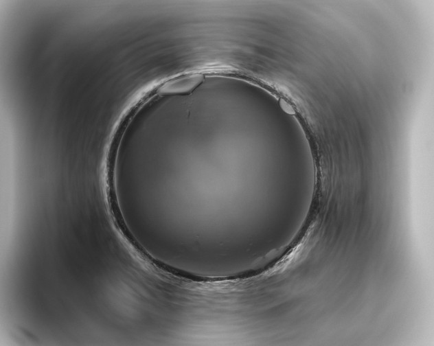 X0000096491422200801241455