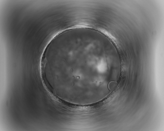 X0000096491423200801241455