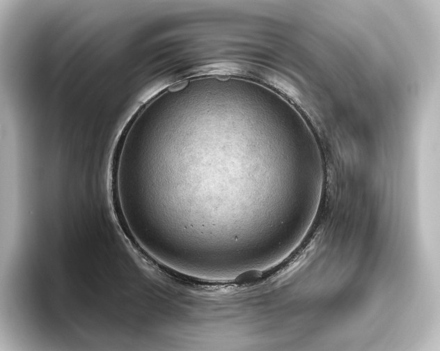 X0000096491426200801241455